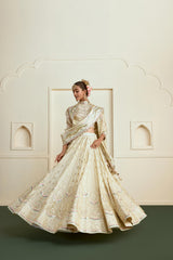 Aabira Lehenga Set 53