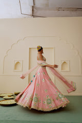 Asmira Lehenga Set 62
