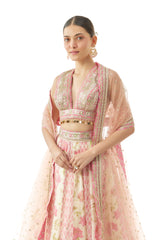 Devyani Lehenga Set+A2:A5