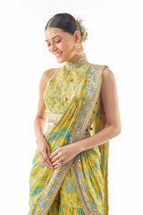 Pakhi Sharara Saree Set