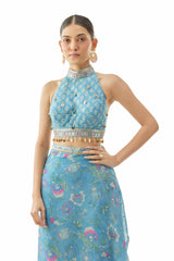 Pakhi Sharara Saree Set