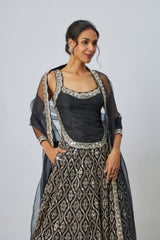 Roshni Lehenga Set
