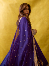Chitrangada Anarkali Set