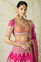Hazrat Lehenga Set