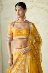 Haseena Lehenga Set