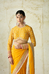 Dilruba Saree Set