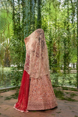 prakriti Eclat - the blooming light lehenga