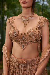 Mayur Mukut- The Crowned Peacock lehenga