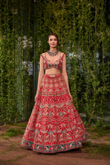 Udaan- The Bird of Hope lehenga