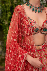 Udaan- The Bird of Hope lehenga