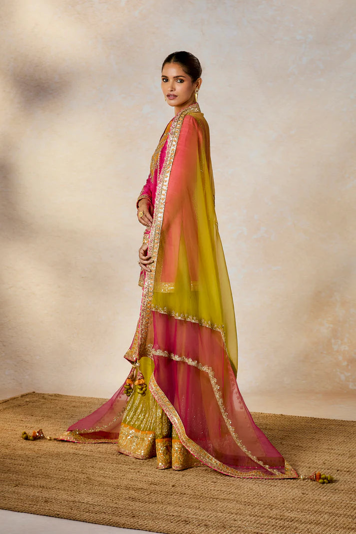 THE MEETHA PAAN SHARARA SET