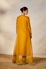 The Aam Panna Kurta Set