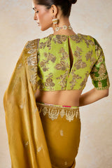 The Son Barfi Saree