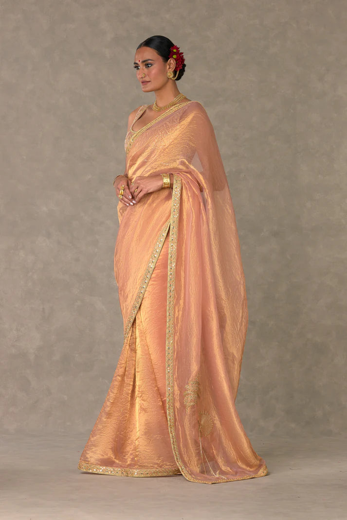 Shahi Tukda Tissue Saree