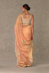 Shahi Tukda Tissue Saree