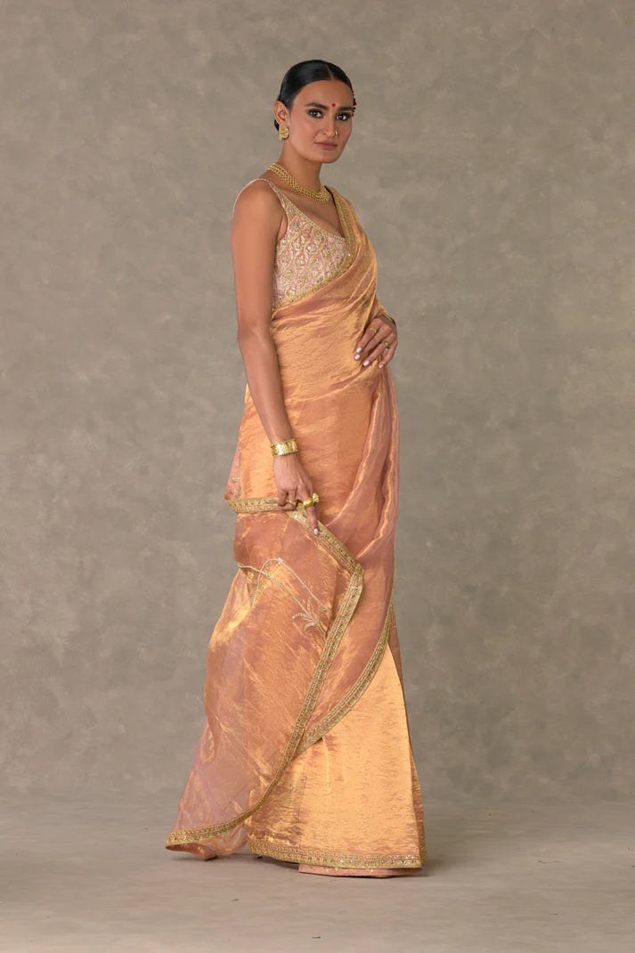 Shahi Tukda Tissue Saree
