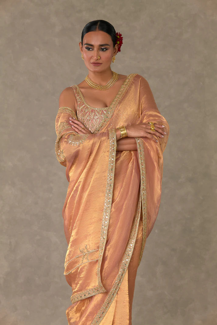 Shahi Tukda Tissue Saree