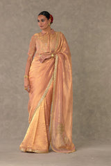 Shahi Tukda Tissue Saree