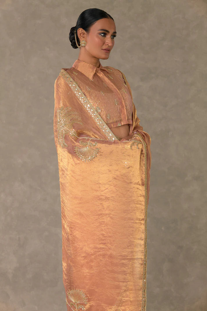 Shahi Tukda Tissue Saree