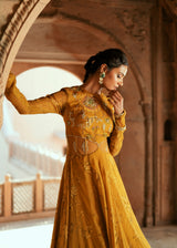 Golden Floral organza embroidered anarkali set
