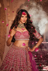 Rani heavily embroidered lehenga