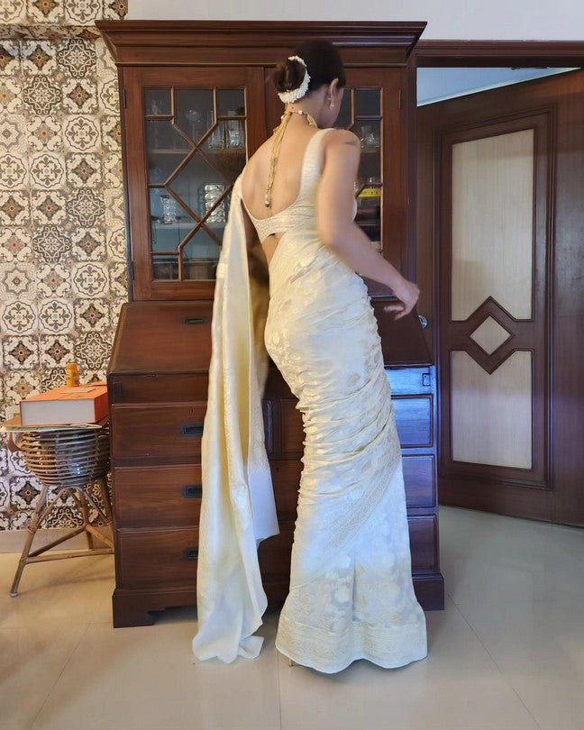 Cream Pure Khaddi georgette Banarasi handloom Saree