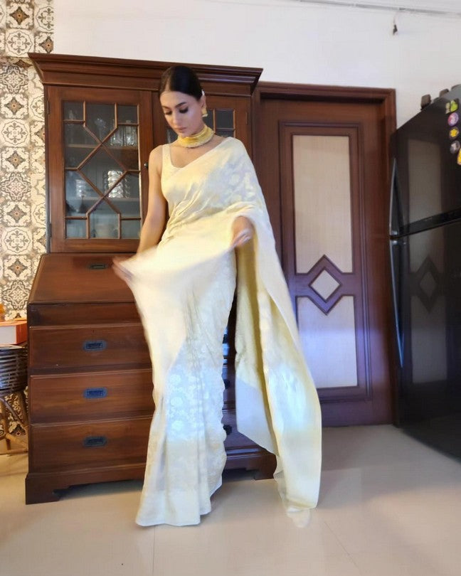 Cream Pure Khaddi georgette Banarasi handloom Saree