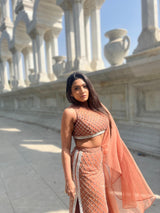 Beige embroidered fishtil lehenga with drape dupatta