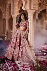 Red heavily embroidered lehenga