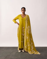 RANI LAXMI Yellow Hand-spun Embroidered Dupatta