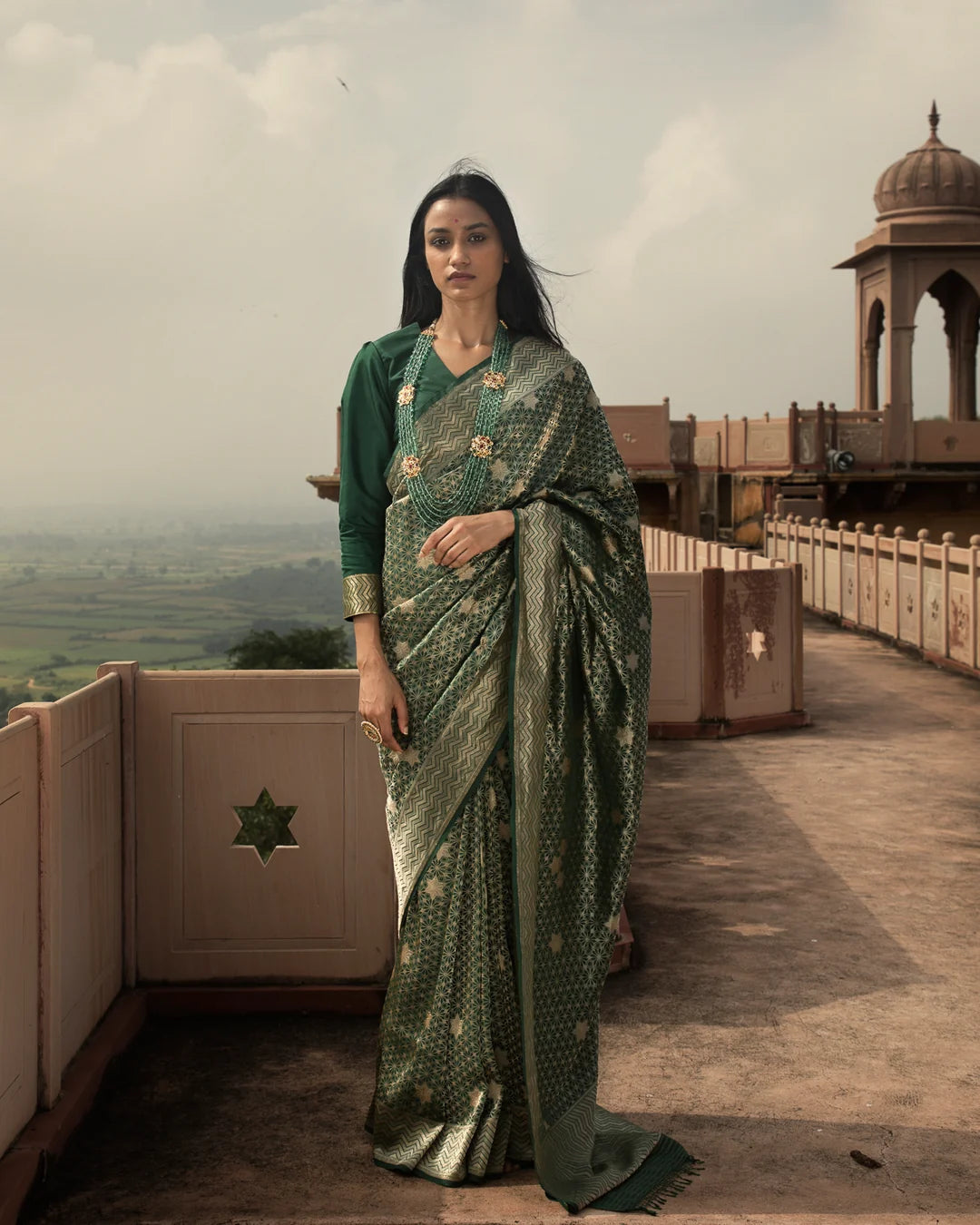 'Jhilmil Sitara' Hariyar Ektara Benarasi Handloom Sari