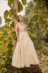 Dreamy Dahlia Lehenga Set