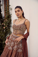 Dust Allure Lehenga Set