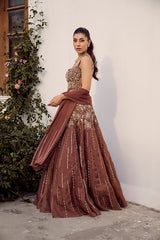 Dust Allure Lehenga Set