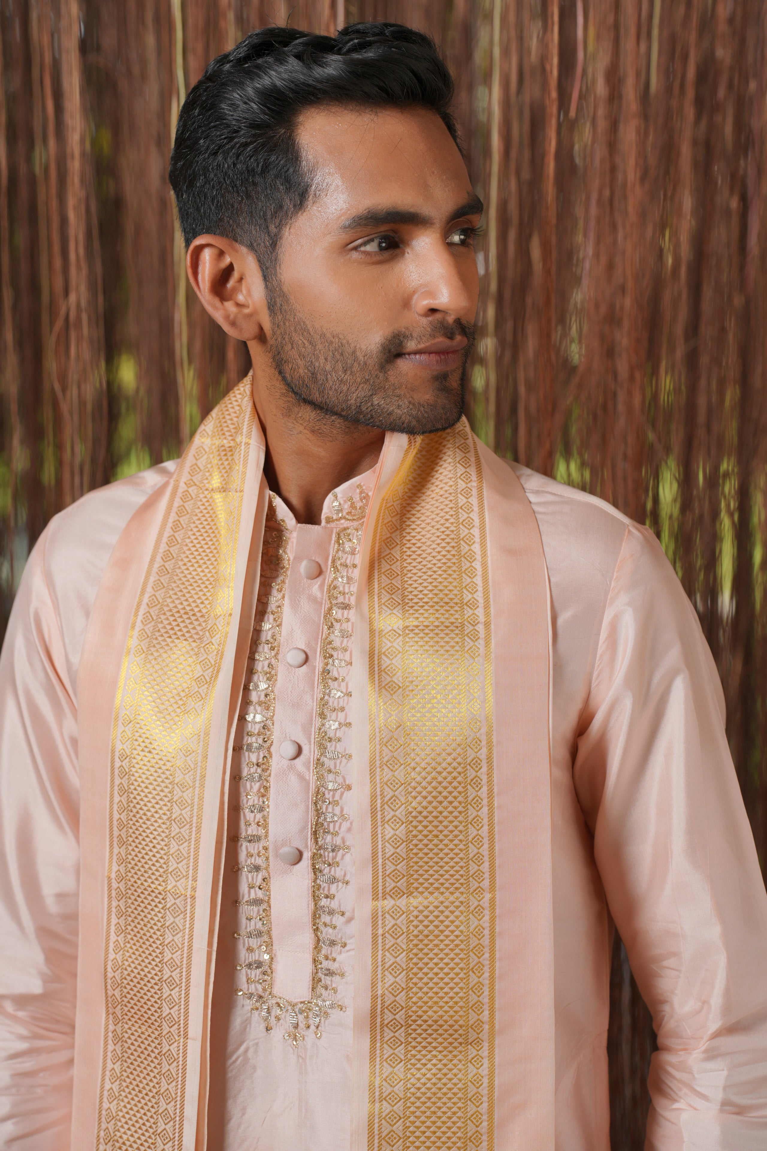 Mrudanga KANJIVARAM