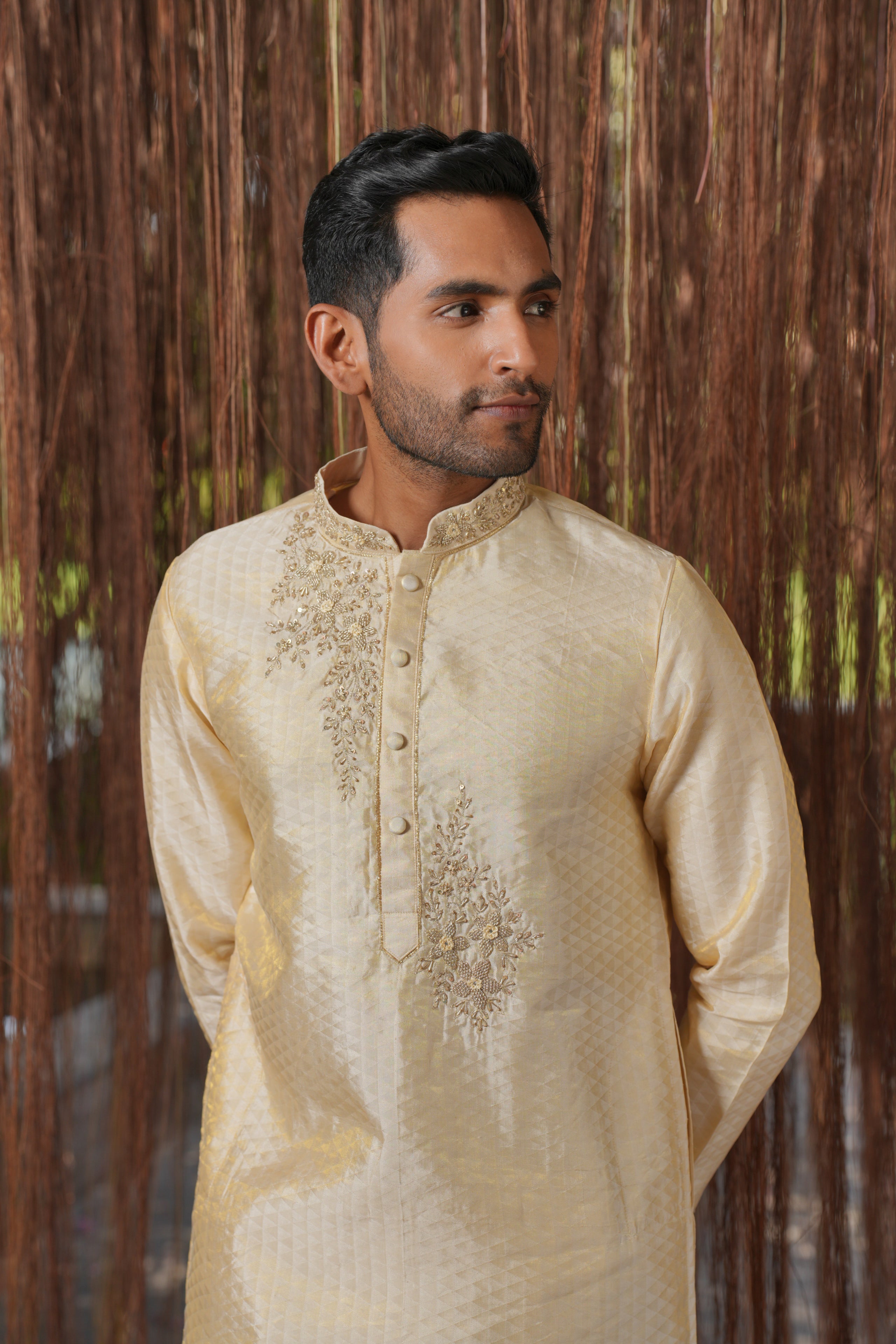 Ananta Weave KANJIVARAM