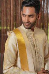Ananta Weave KANJIVARAM
