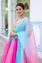 Multi Colour Lehenga Set