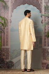Amber Grace Raw Silk Embroidered Kurta Set