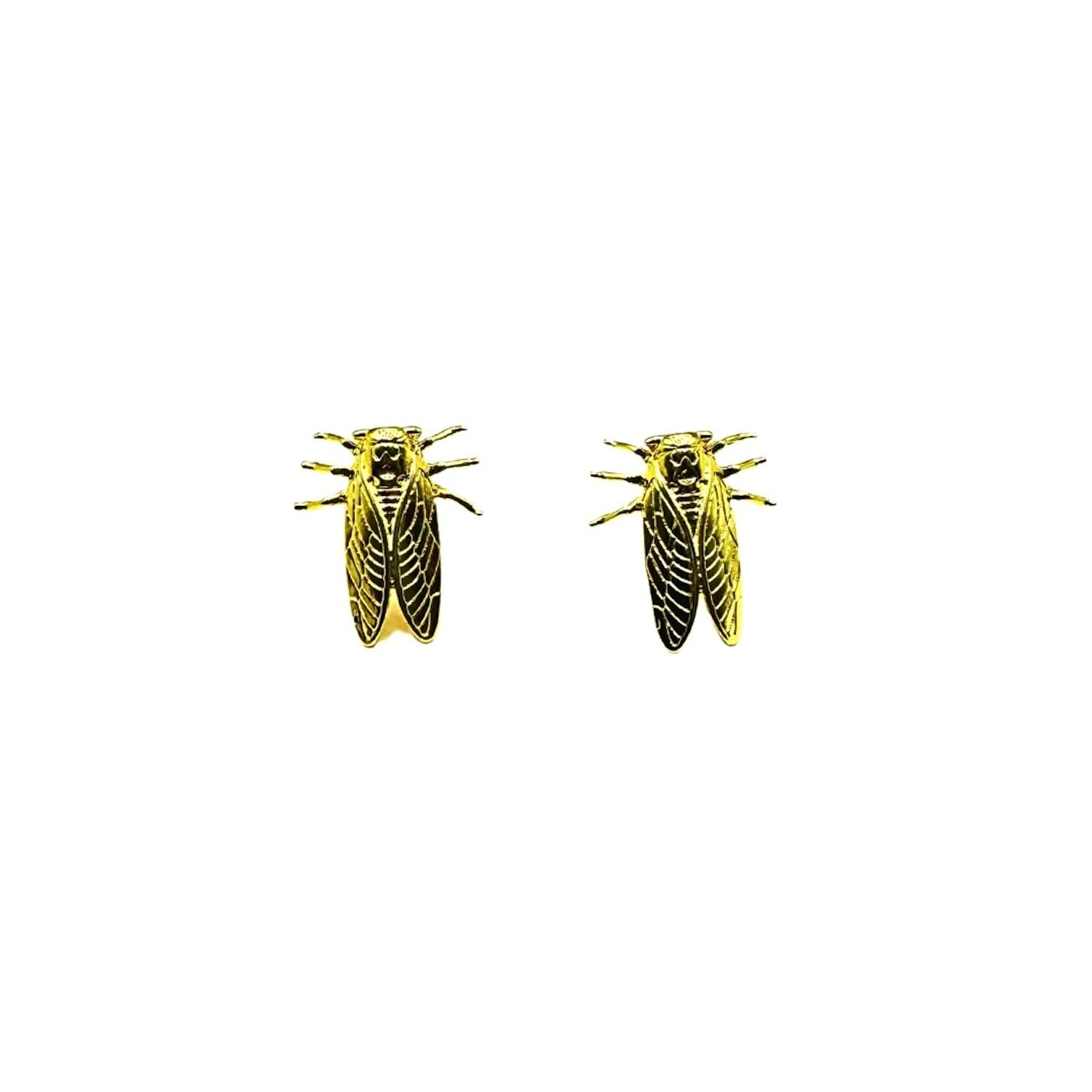 Cicada Studs