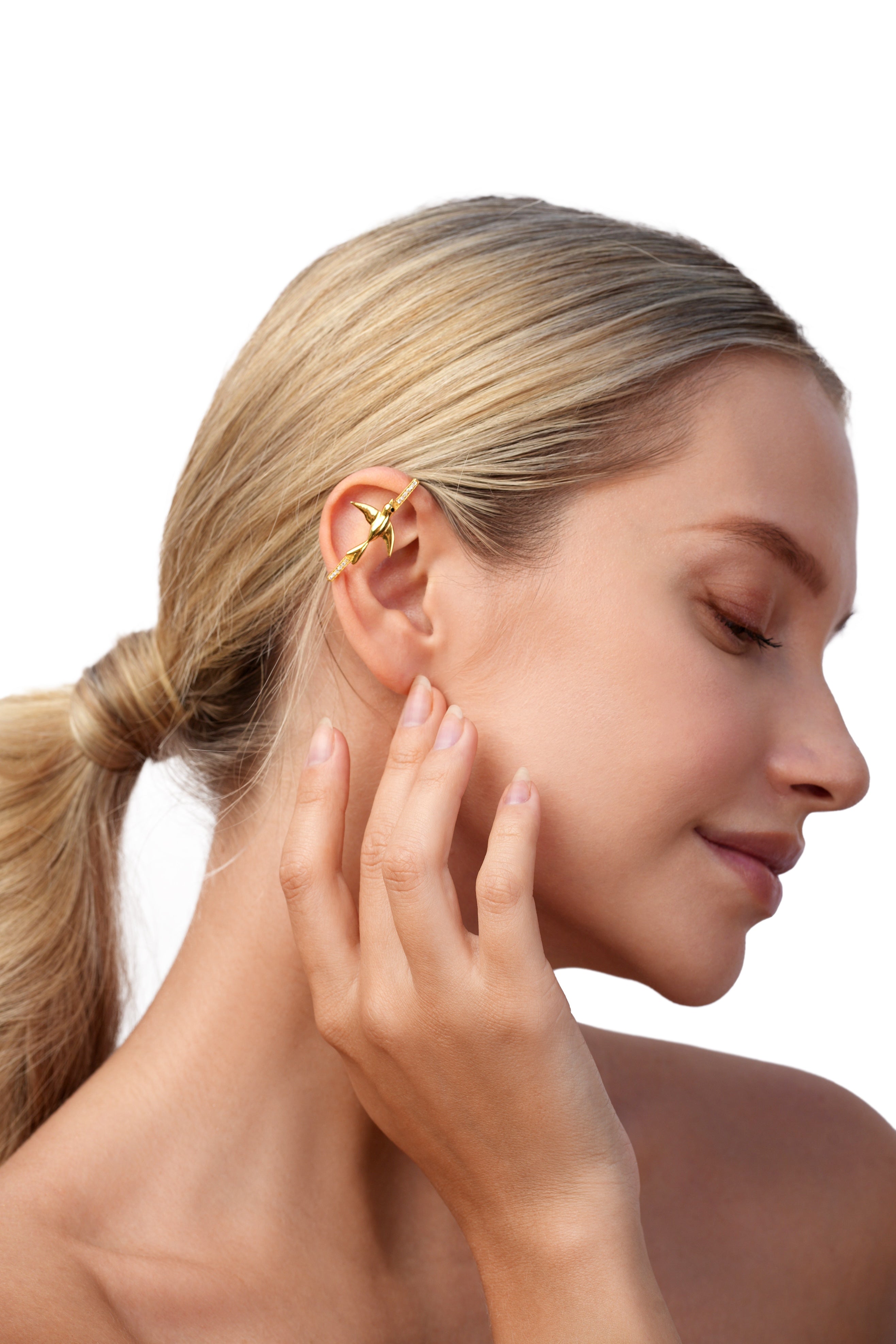 Darzi Ear bar