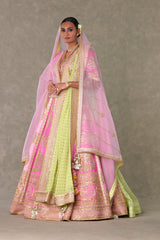 Lehenga Set