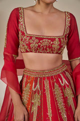 Rango Sa Jahan' Lehenga in Red