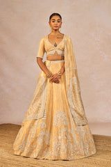 ‘CHANDNI’ LEHENGA 1