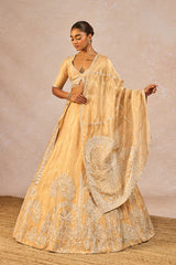 ‘CHANDNI’ LEHENGA 1
