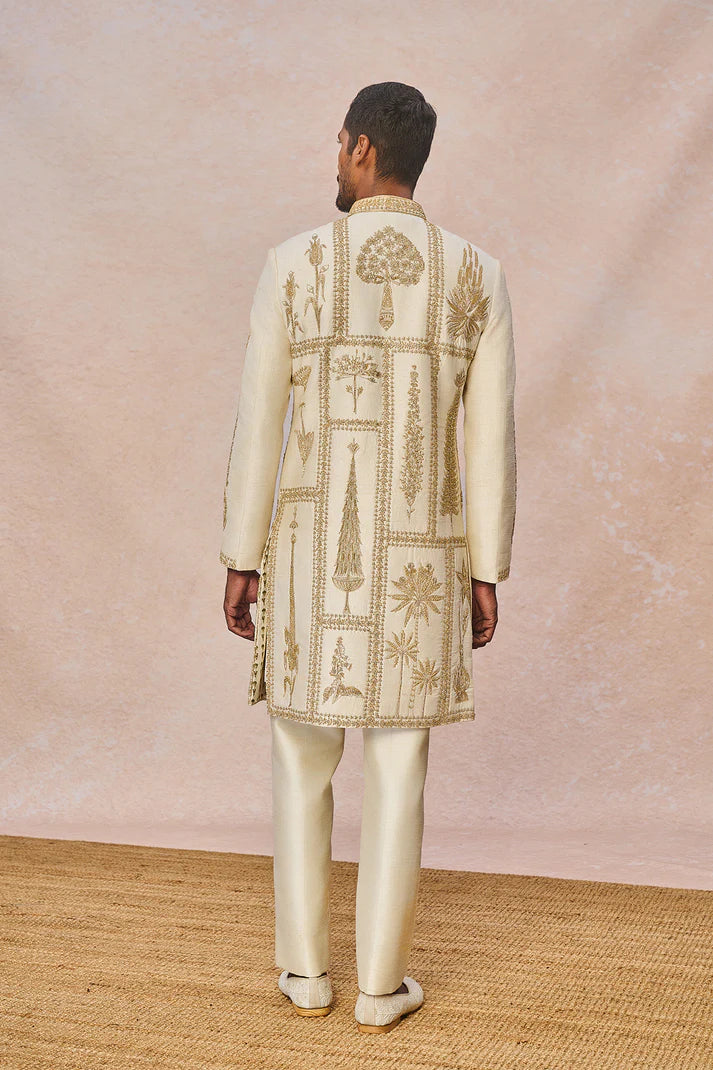 ‘TERE PEECHE CHALA AAYA’ SHERWANI SET
