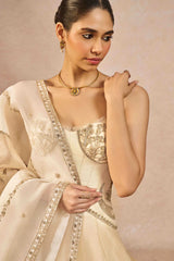 ‘TERA KHAYAL’ LEHENGA