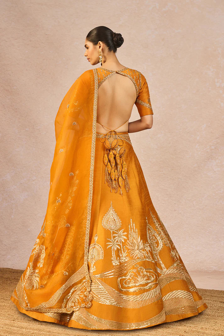 THE ‘DIL LUBHATA’ LEHENGA 2