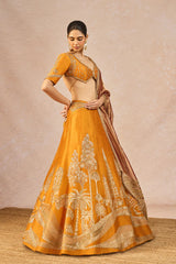 THE ‘DIL LUBHATA’ LEHENGA 2