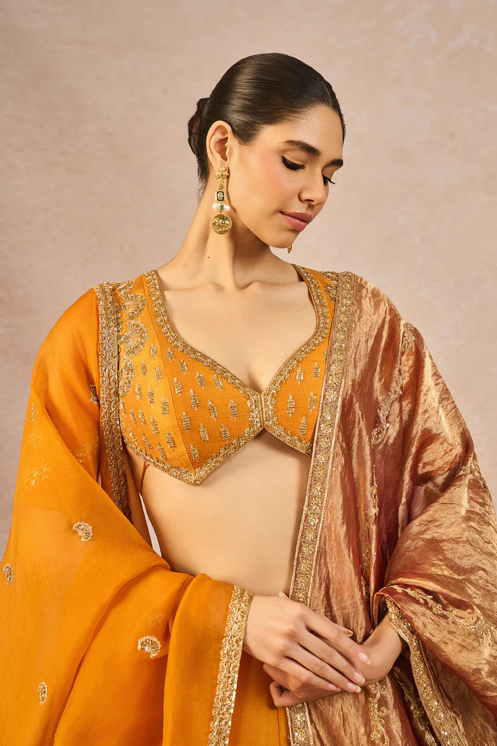 THE ‘DIL LUBHATA’ LEHENGA 1